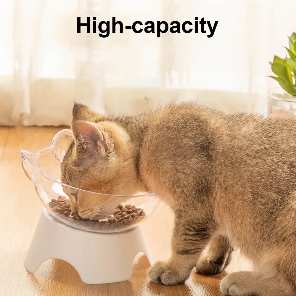 Stable Placement Transparent Pet Bowl Solid Polymer Cat Bowl 15 Degrees Tilted Raised Pet Food Water Bowl Small Pet Feeding