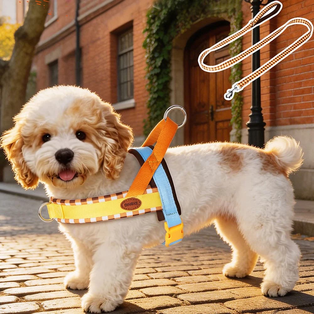Fashion Maillard Color Dog Harness and Leash Set, Saddle Style No Pull Pet Vest for Small Medium Dogs, Premium Outdoor Walking