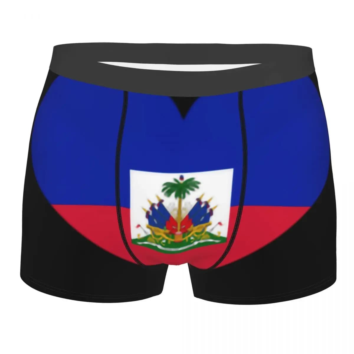 Pantaloncini boxer con bandiera di Haiti alla moda, mutande elasticizzate da uomo, biancheria intima