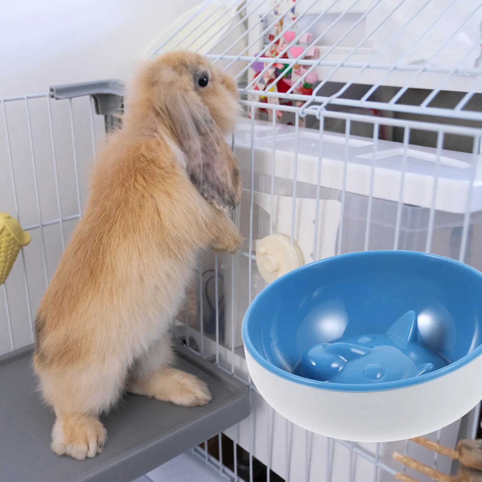 Ciotola Sospesa per Animali Domestici, Contenitore in Plastica per Cibo e Acqua per Cani, Ciotola Grande Aperta e Poco Profonda Rimovibile per Gatti, Ciotola Antiscivolo Leggera per Cuccioli