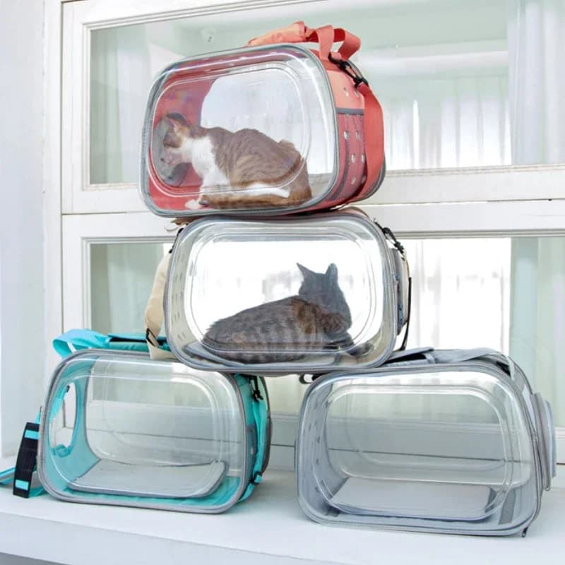 Borsa da trasporto per cani e gatti Borsa da viaggio traspirante per animali domestici Borsa a tracolla portatile Zaino per cuccioli Tote Gabbia trasparente