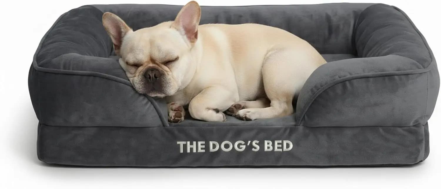 Letto per cani The Dog’s Bed Standard Support con bordi rinforzati, materasso in schiuma a nido d'ape, fodera impermeabile rimovibile, rivestimento lavabile