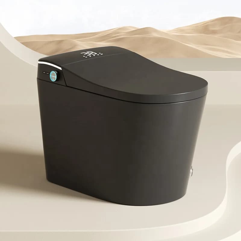 Smart Toilet, Smart Toilet Solid Black Automatic, Intelligent Toilet Ceramic Monobloc Bathroom