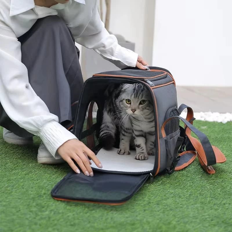 Borsa da Viaggio per Animali Domestici con Tasche Multiple, Anti-Collapsamento, per Gatti Medi, Cuccioli, Conigli e Piccoli Animali