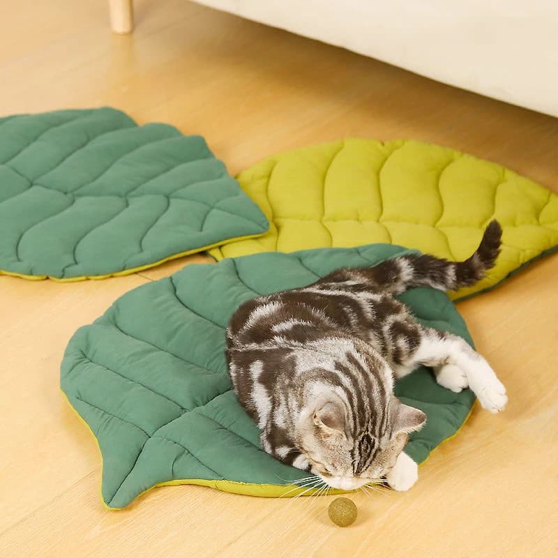 Tappetini per gatti Morbido cotone a forma di foglia Gattino Gatto Cucciolo Tappetino per cani Coperta per dormire Animali domestici Tappetino bifacciale Tappeti lavabili