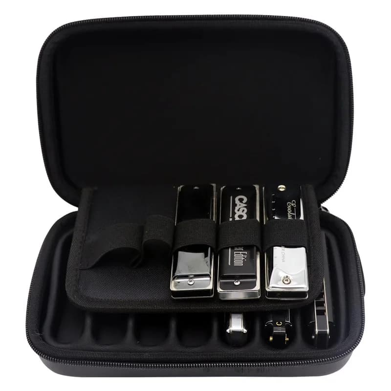 Custodia per armonica diatonica, borsa per arpa blues a 10 fori, scatola per organo a bocca in pelle sintetica PU JDR, (solo custodia, senza armoniche)