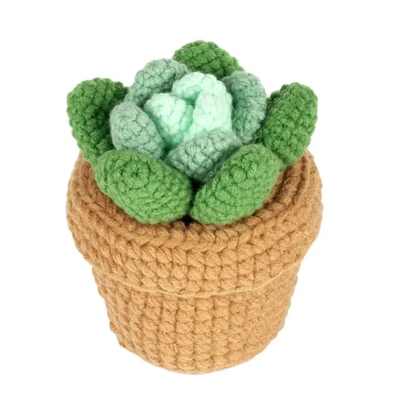 AEE8-Kit all'uncinetto Kit all'uncinetto per piante succulente in vaso fai-da-te con aghi per filati da maglia peluche facile