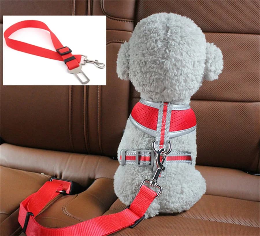 1pc Cintura di sicurezza per auto per cani e gatti adatta per fibbia di sicurezza universale Corda di sicurezza regolabile Cinture di sicurezza per cani Accessori per cani