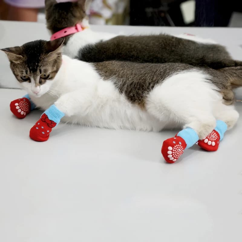 4 pz/set simpatici calzini per cani da compagnia antiscivolo gatti cuccioli di scarpe protezione per zampe per cani di piccola taglia protezione elastica per piedi di Chihuahua Teddy