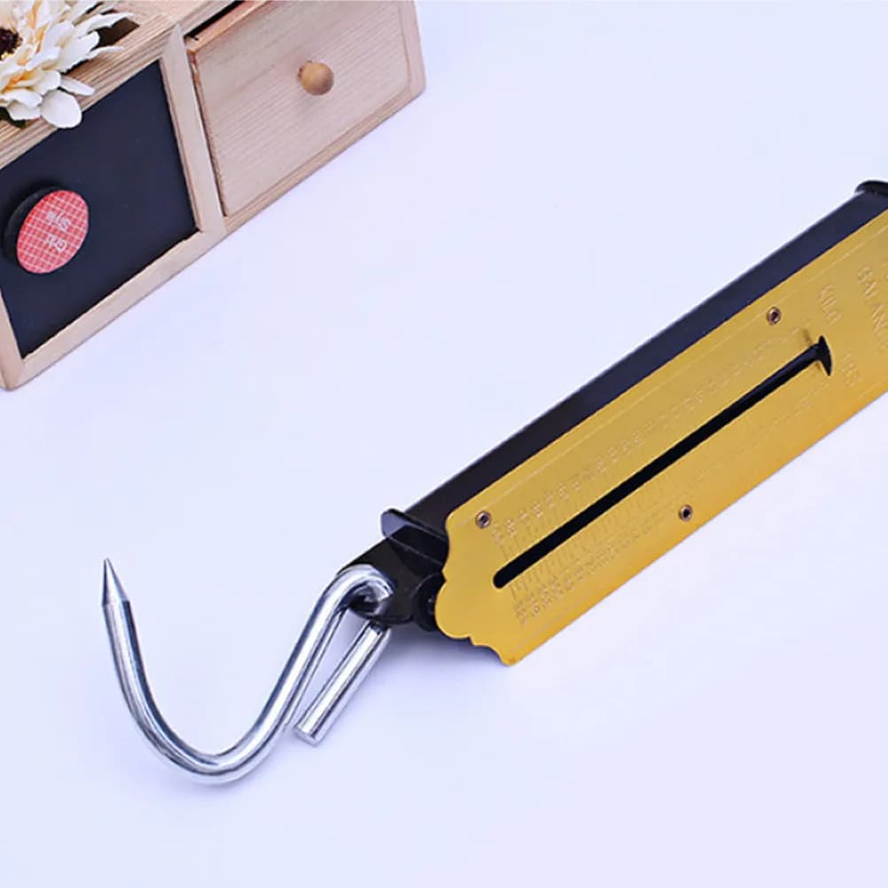 Bilancia Digitale Portatile da 12Kg con Gancio e Righello per Cucina, Pesca, Bagagli, Uso Familiare e Outdoor - Idea Regalo
