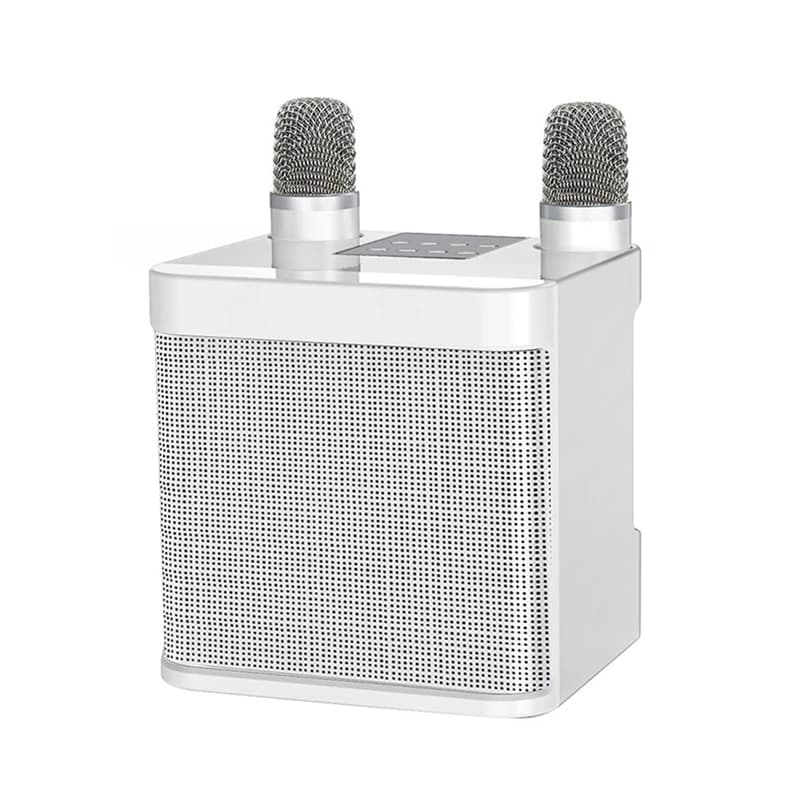 WISH KD-203 Set Karaoke Altoparlante Karaoke Wireless Bluetooth Doppio microfono Altoparlante Microfono Macchina