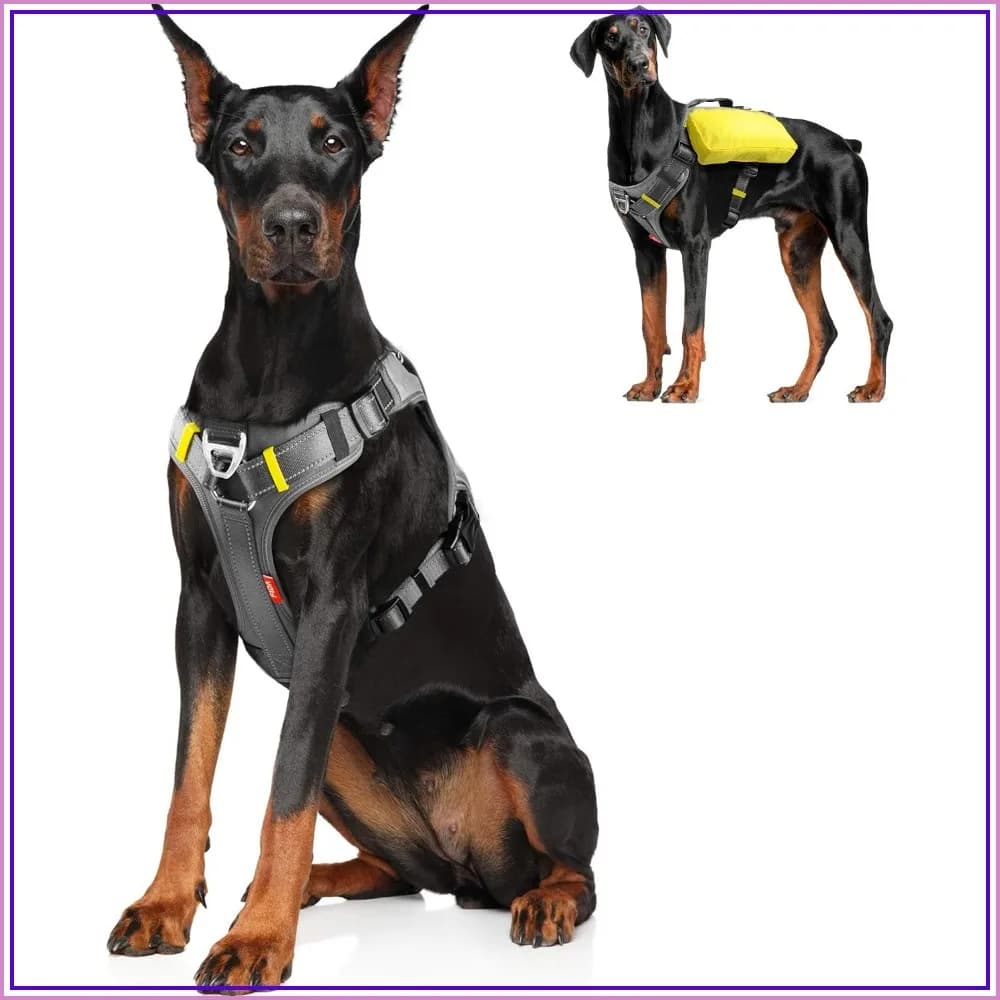 Multi-Functional No-Pull Dog Harness with Saddle Bags Backpack, Front Leash Clip, Adjustable Soft Padded Reflective No-Choke Vest for X-Large Dogs, Black