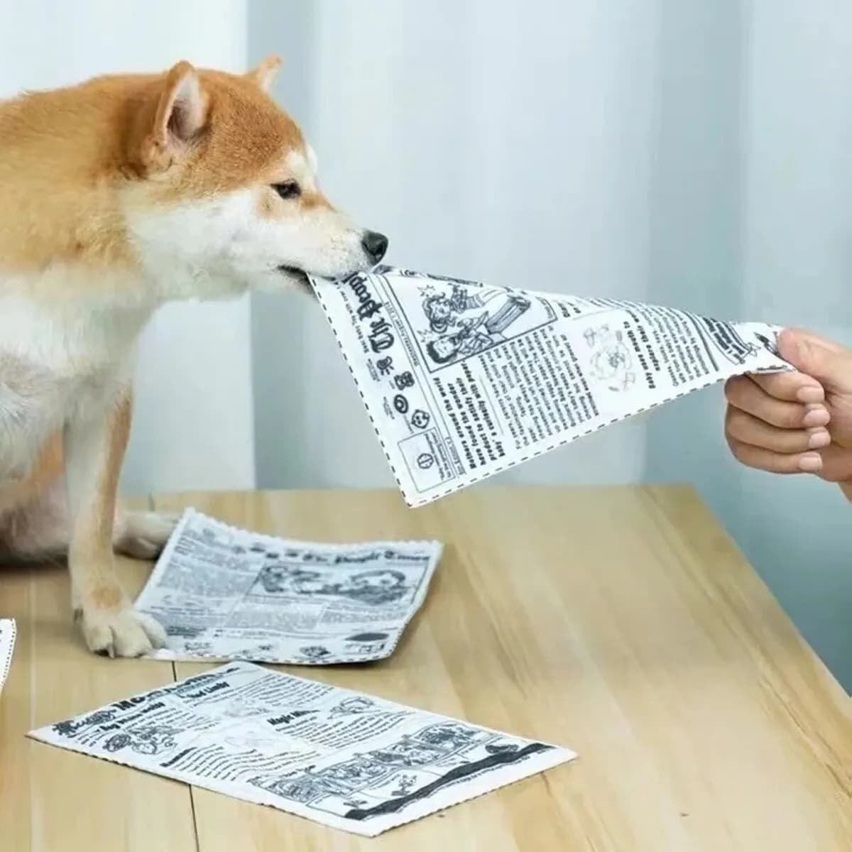 1pc Strappo Pet Dog Suono Giocattolo Simulato Squeaking Giornale Playingcard K Q J Resistente ai Denti Corgi Teddy Puppy Interattivo