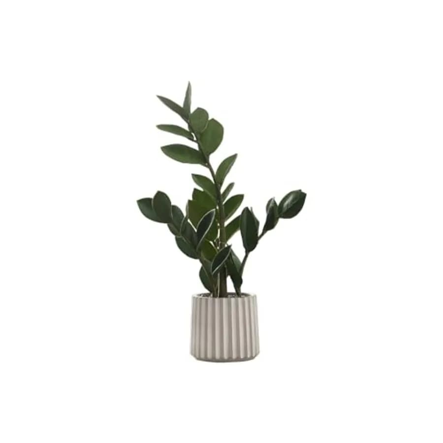 Artificial plant Zz 20 inch high with green leaves to the real touch in grey concrete vase for green fake decorative indoor table ideal