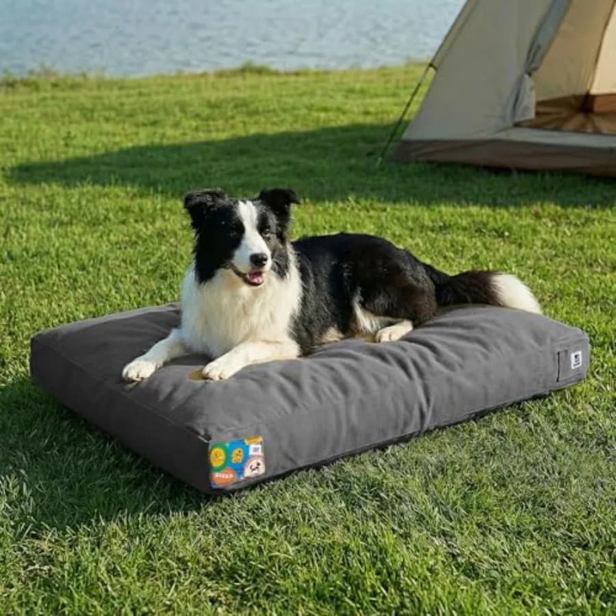 Cuccia per Cani da Esterno in Tela da 36 Pollici, Resistente, con Copertura Impermeabile Rimovibile e Lavabile in Lavatrice, per Interni ed Esterni