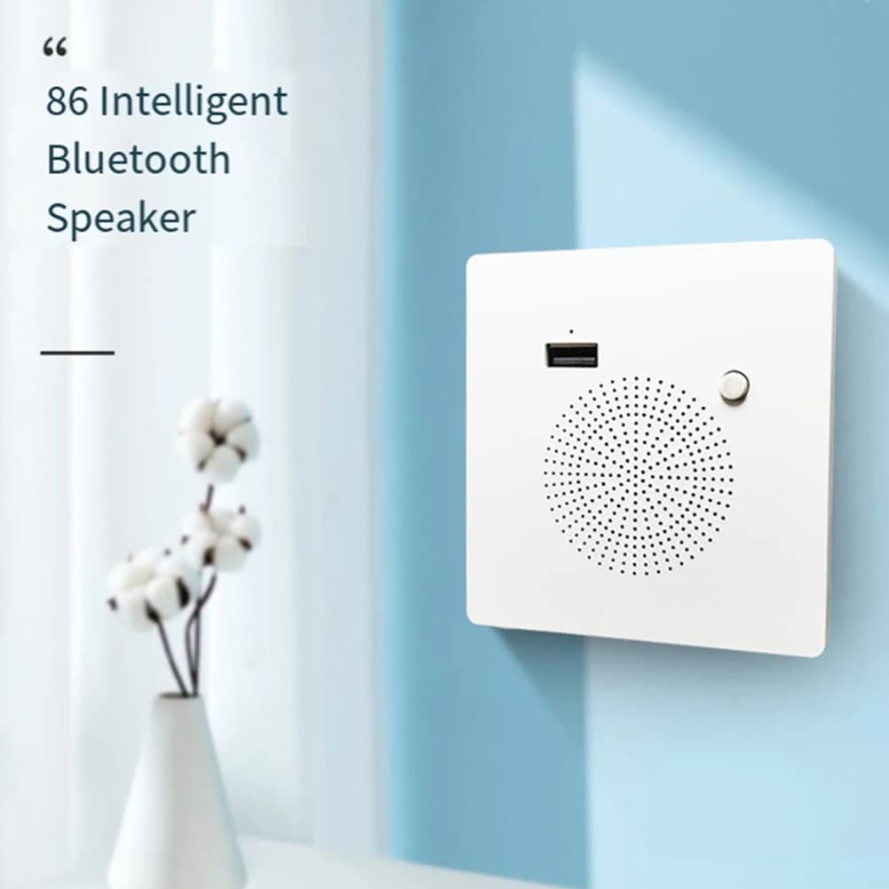 SQPP-Pannello Audio da Parete con Altoparlante Bluetooth, Ricarica USB e Riproduzione da Chiavetta USB
