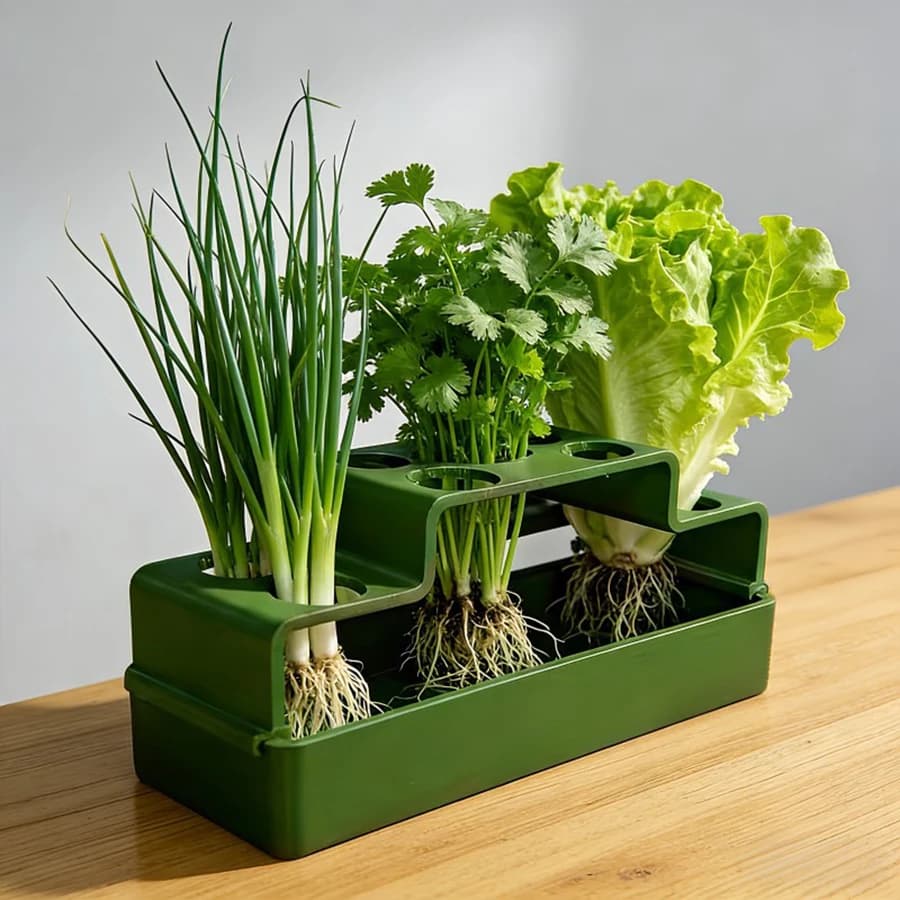 Specific Cultivation device for Cipollotti, with Hydroponic System for Repetuta Growth