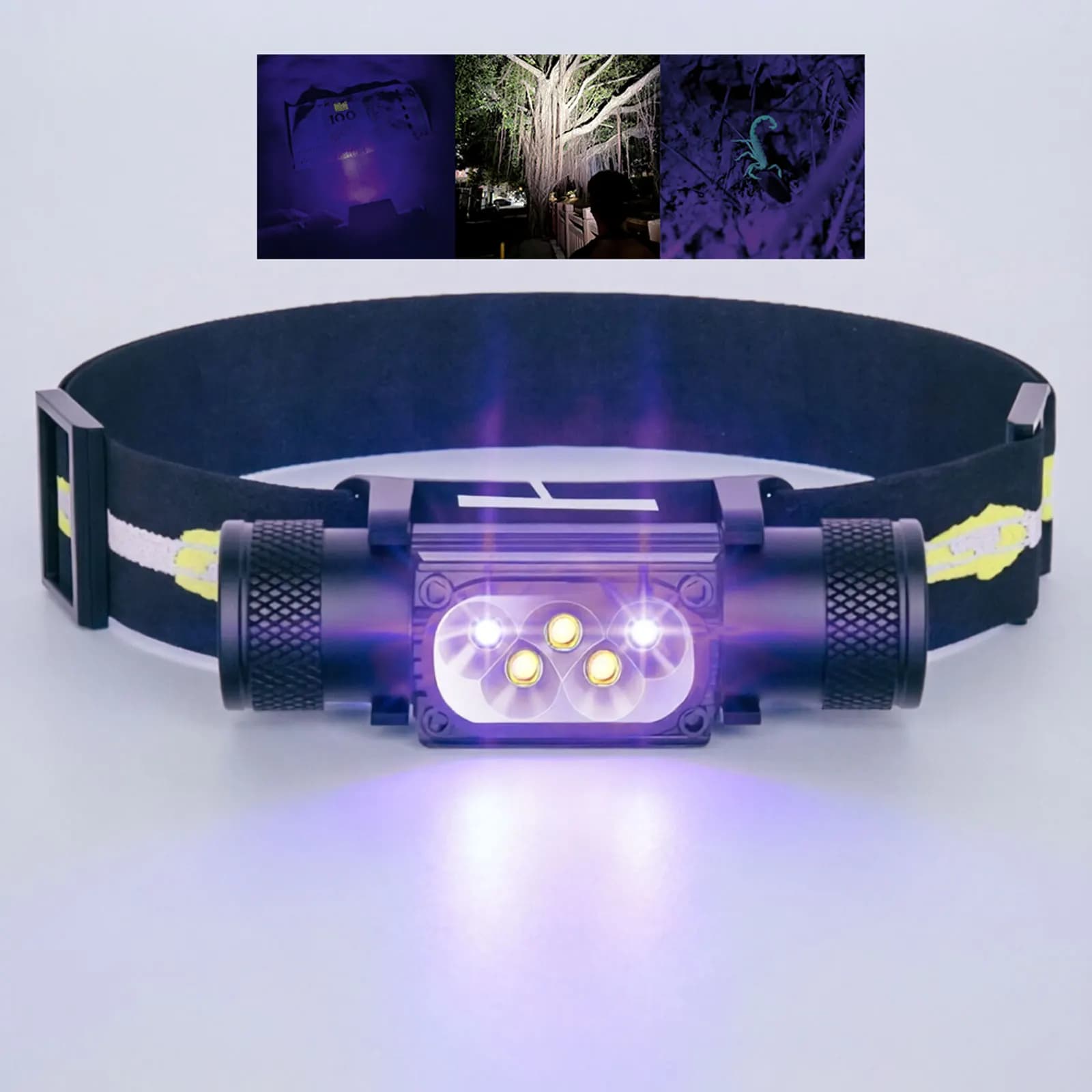 Torcia frontale UV a luce nera 395 NM, rilevatore di macchie di urina di cane, per peli di animali domestici e cimici dei letti