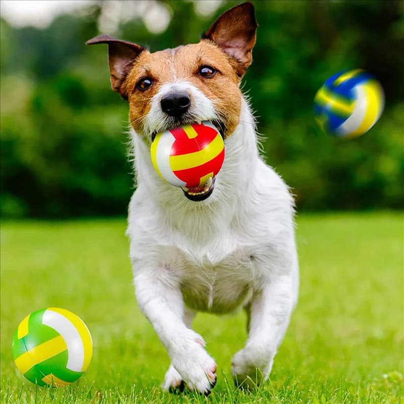 B05C-24 Pz Mini Palline antistress da pallavolo Schiuma Sport Sollievo antistress Palla morbida piccola palla da pallavolo Riempitore regalo