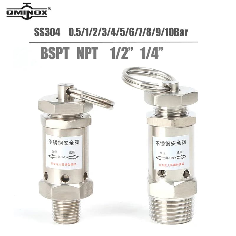 Valvole limitatrici di pressione SS304 1/4 "1/2" valvole di rilascio di pressione maschio 0.5-10Bar mini valvole di rilascio dell'aria NPT/BSPT maschio per uso alimentare