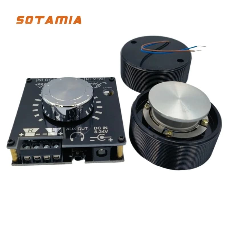 SOTAMIA 50MM Altoparlante a vibrazione 4 Ohm 25W Risonanza Altoparlante Bluetooth 30W BTL3110 Scheda amplificatore di potenza Bluetooth Stereo Mini Amp