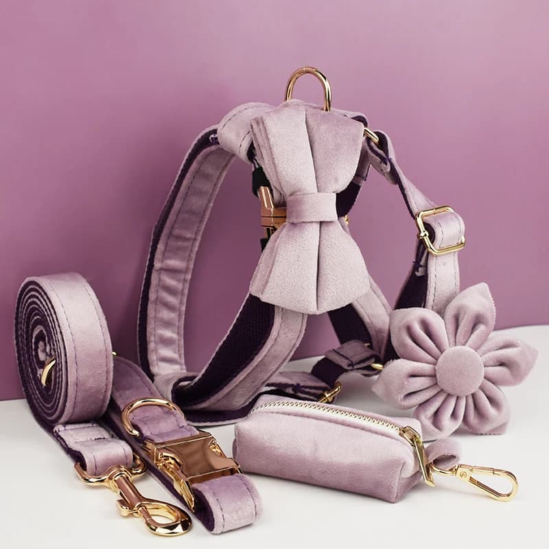 Set Collare e Guinzaglio per Cani in Velluto Viola Scuro con Targhetta Personalizzabile - Accessori per Animali Domestici - Guinzaglio in Velluto 06