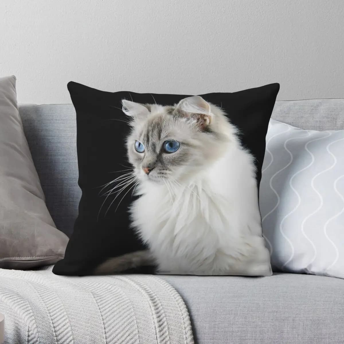 Pettle The Ragdoll Cat Pillowcase Polyester Linen Velvet Pattern Zip Decorative Throw Pillow Case Sofa Seater Cushion Cover