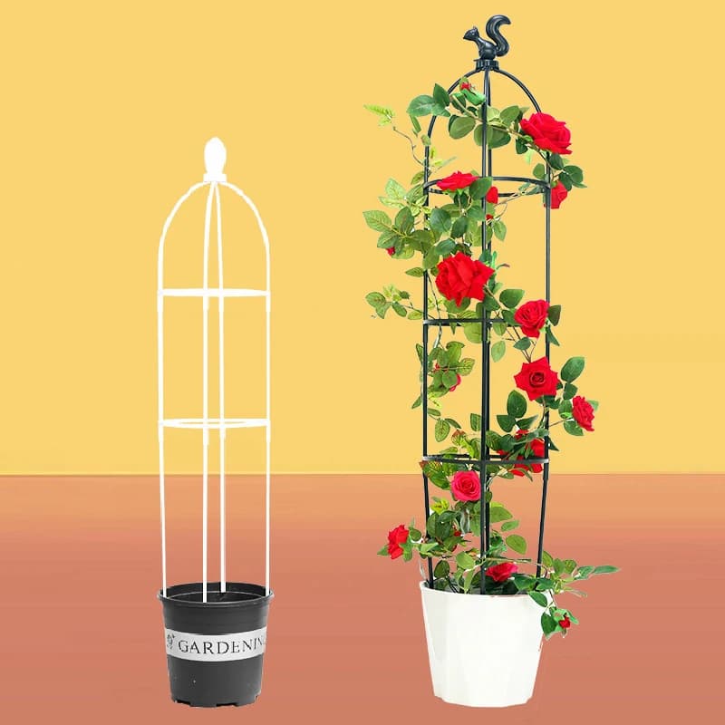 1 Set Arrampicata Plant Traliccio Garden Support cages For Flowers Climbing Plant Support Frame Traliccio Screws FAI FROM YOU Vase Plant Stand