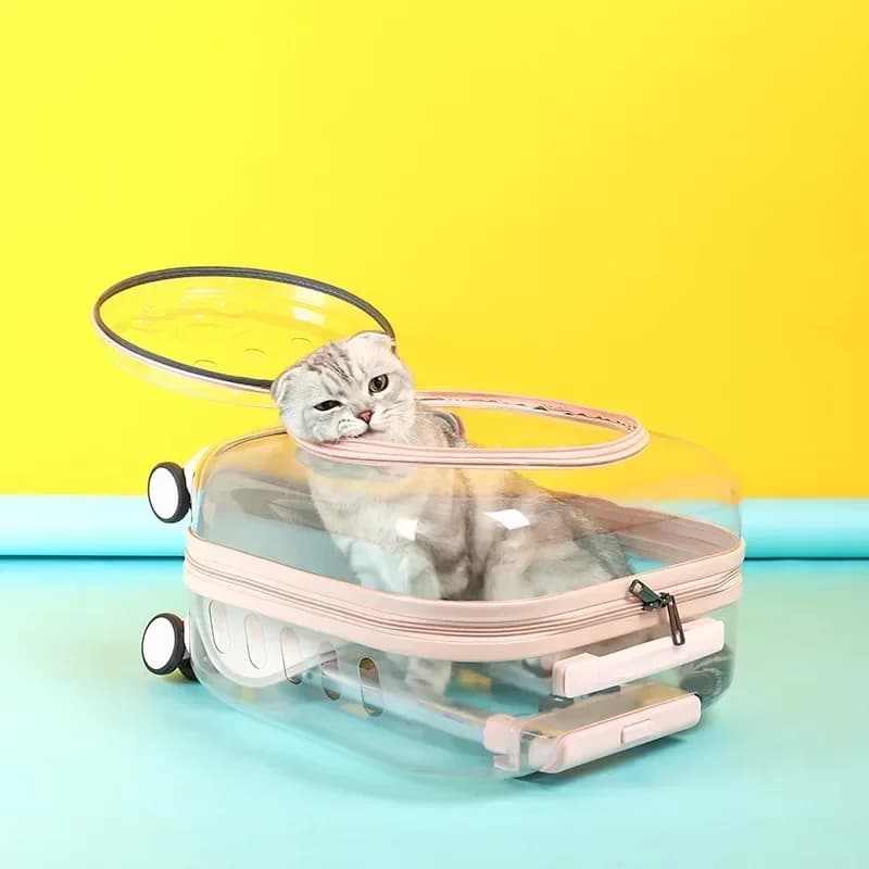 Trolley per animali domestici Borsa da trasporto per gatti trasparente leggera e traspirante per esterni Borsa per zaino per gatti Borsa per trasporto di piccoli animali