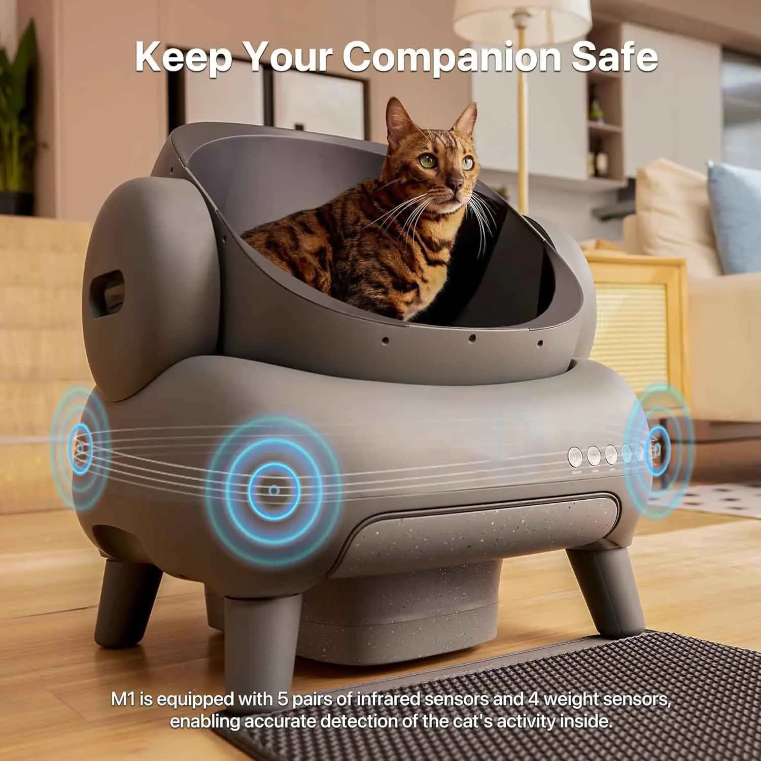 Lettiera Automatica Intelligente per Gatti, Toilette per Gatti Autopulente a Coperchio Aperto, Sabbiera per Animali Domestici con Spazio Extra Grande Adatta a Gatti di Taglia Grande, Controllo tramite App
