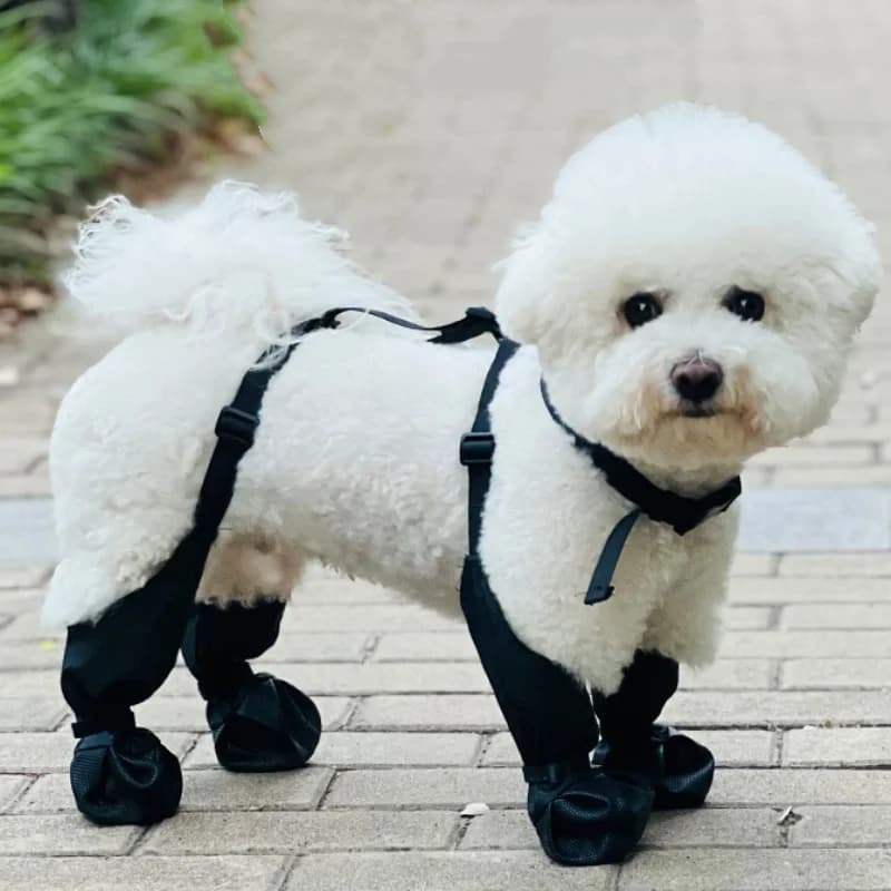 Stivali per cani impermeabili Scarpe per cani antiscivolo Protezione per zampe per animali domestici Stivaletti da pioggia per cani Scarpe per calzini da esterno per passeggiate Corsa Escursionismo