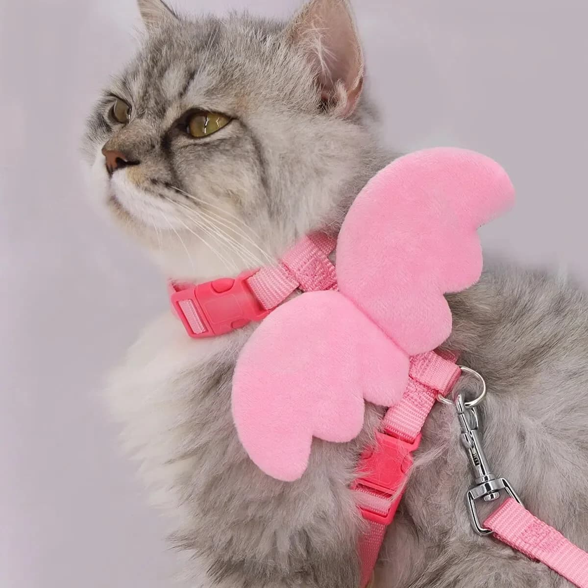 1 Pc Angel Wings Retractable Pet Leash Adjustable Length Cat Rabbit Chest Harness I-Line Leash for Small to Medium Dogs