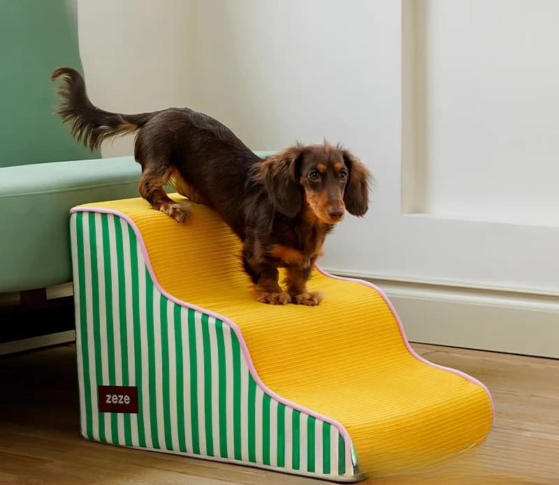 Scale in tessuto per animali domestici, gradini in spugna rimovibili 30 ° Scale da comodino stabili con rampa inclinata per cani anziani