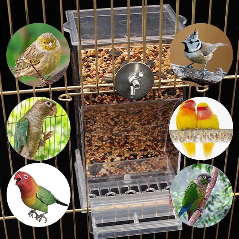 Mangiatoia Automatica per Uccelli in Acrilico Trasparente con Posatoio, Contenitore per Semi di Pappagalli, Accessori per Gabbie