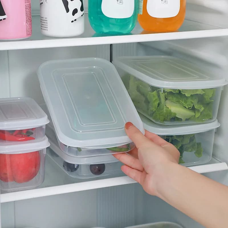 Scatole per la conservazione della carne congelata del frigorifero: contenitori portatili per la conservazione di frutta e alimenti, utensili da cucina