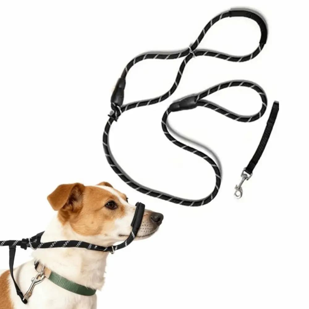 2in1 Dog Leash with Anti-Bite Muzzle Adjustable Nylon Dog Collar Muzzle Leash Comfort Handle Multifunctional Pet Training Leash