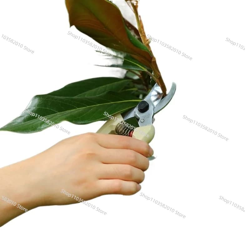 Garden Pruning Shears with Ergonomic Handle, Sharp Bypass Hand Scissors for Tree Trimming & Plants