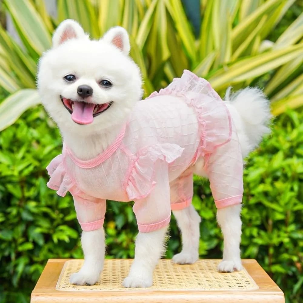Tuta rinfrescante traspirante per cani, ad asciugatura rapida, in tessuto sottile, gilet a rete per cani con maniche a volant e design con anello a D, abbigliamento protettivo solare per animali domestici