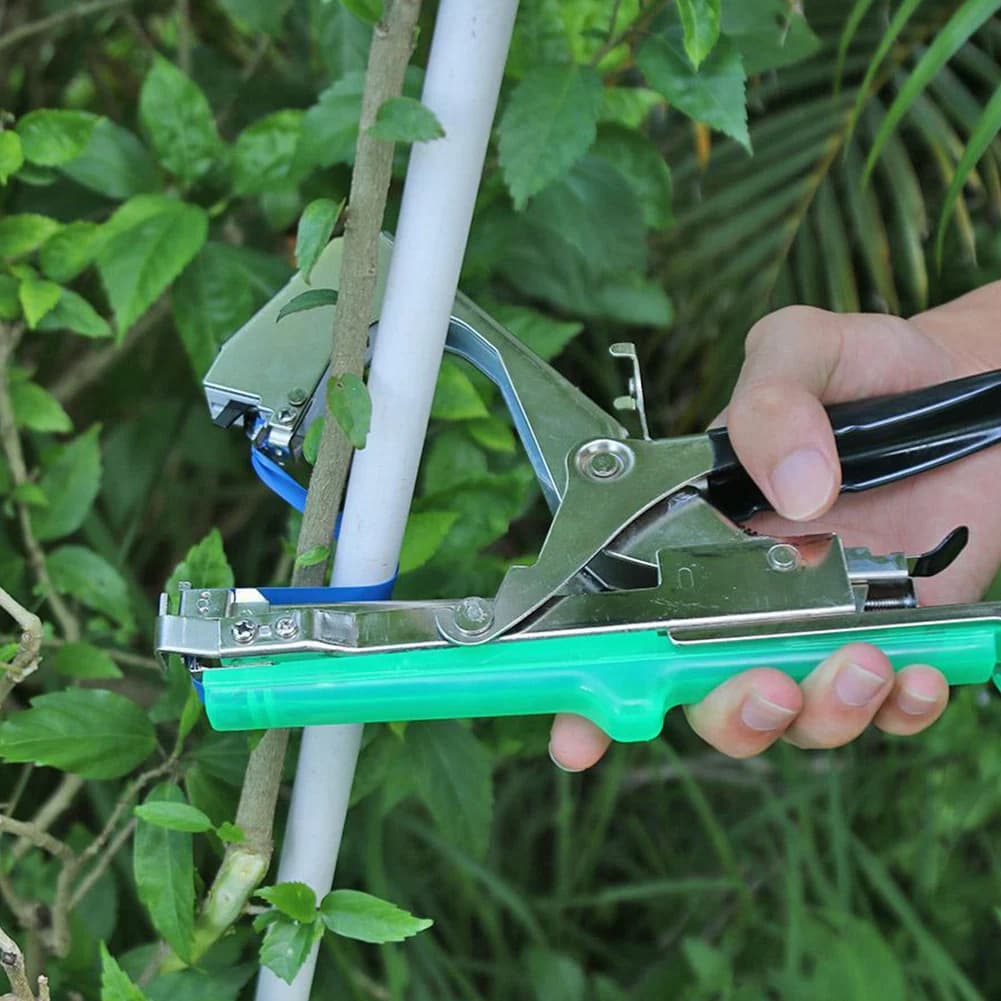 12/20 Pezzi Nastro Legante per Giardinaggio con 1 Scatola di Graffette, Strumento per Legare Piante, Nastro per Macchina Legatrice per Ortaggi e Frutta