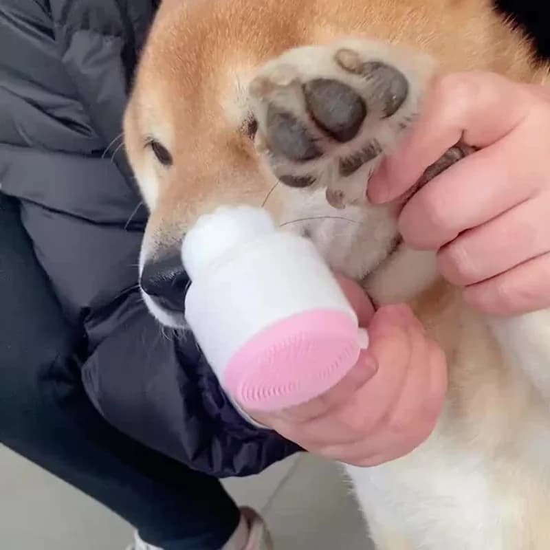 Spazzola per la pulizia delle zampe di animali domestici, spazzola per massaggio bifacciale in silicone per rondelle di piedi di cane, strumento per la pulizia dei piedi di animali domestici in plastica con setole morbide f