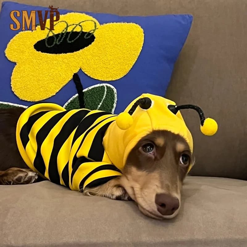 Cute Bee Costume Pet Hoodie Funny Striped Warm Dog Outfit for Dachshund Small Dogs Optional with D-ring for Leash Puppy Clothes