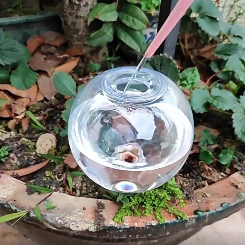 Abbeveratoio automatico per piante Sistema di irrigazione a goccia Globi per irrigazione per piante Dispositivo per acqua da giardino per piante in vaso da interno ed esterno