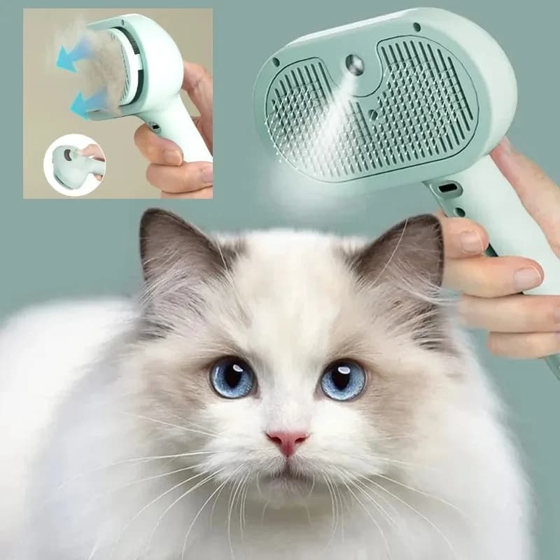 Pettine per cani e gatti Spazzola per toelettatura per cani a spruzzo a vapore Spazzola a vapore unica per cani Toelettatura di lusso Vapore Verde Rosa Bianco