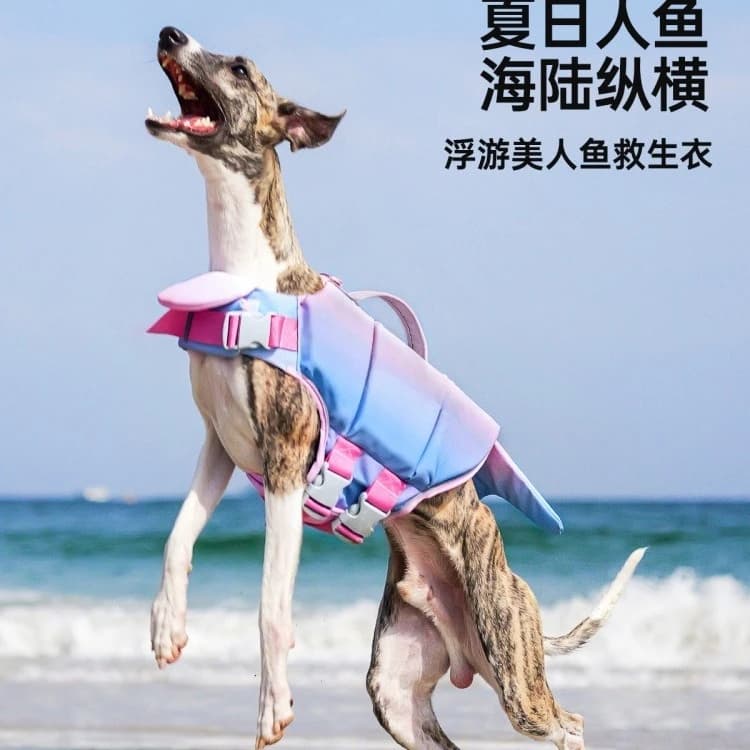 Costume da bagno per cani, giubbotto di salvataggio per animali domestici, abbigliamento estivo, attrezzatura galleggiante per cani di taglia grande, media e piccola