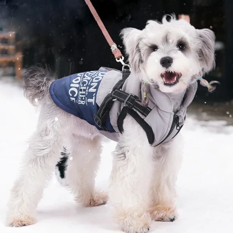 Gilet invernale per cani da compagnia caldo con tasca Gilet riflettente per cuccioli Giacca con imbracatura Abbigliamento autunno inverno per cani Vestiti per gatti