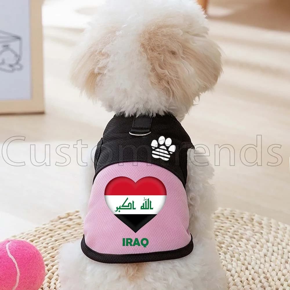 Pettorina in rete con bandiera dell'Iraq per cani e gatti, vestiti per gattini, gilet primaverili ed estivi con zampa carina e anello a D per guinzaglio
