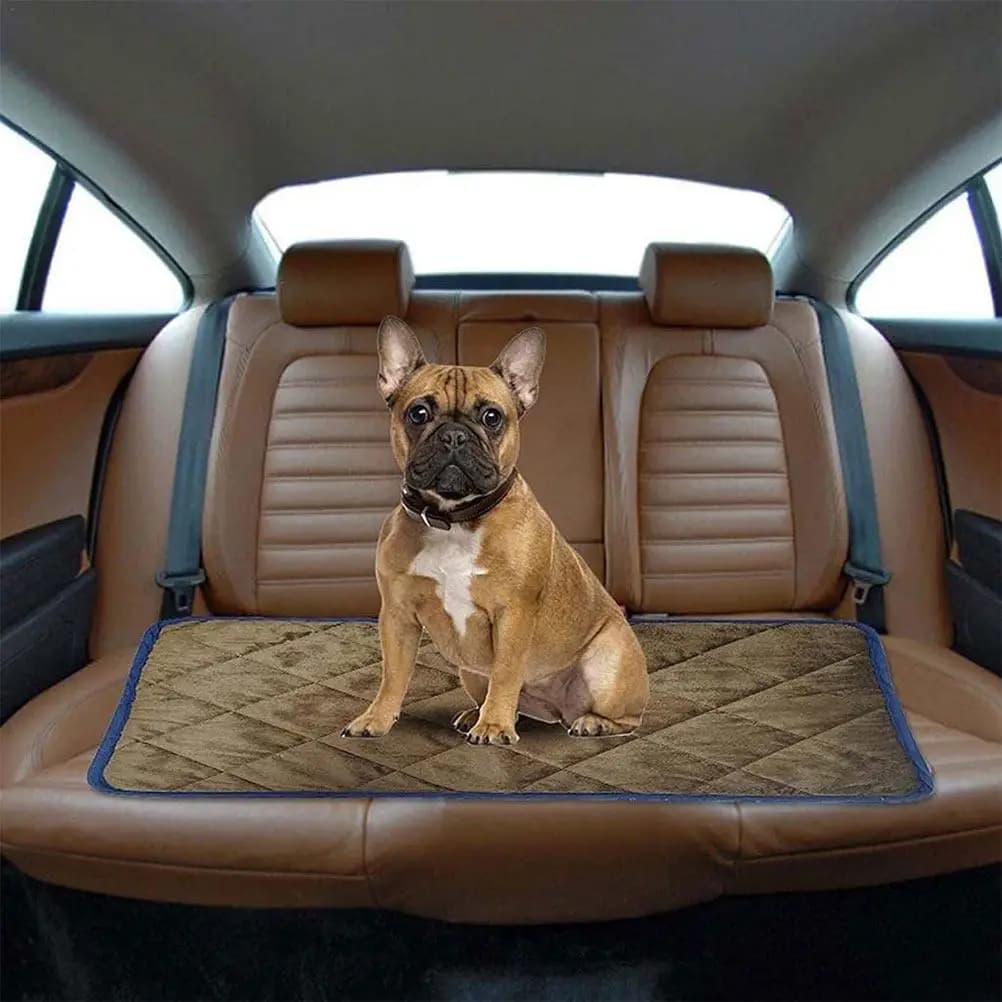Cuccia Riscaldata per Animali Domestici, Coperta Autoriscaldante per Cani e Gatti, Leggera e Portatile per Uso Interno ed Esterno, Tappetino Caldo Antiscivolo per Comfort Tutto l'Anno