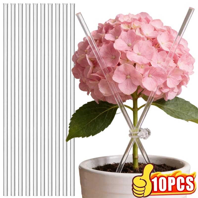 Support for Transparent Acrylic Plants, Orchids Support Auction, Flower Stem Support, for Pomodours and Plants in Vase, Gardening Stick
