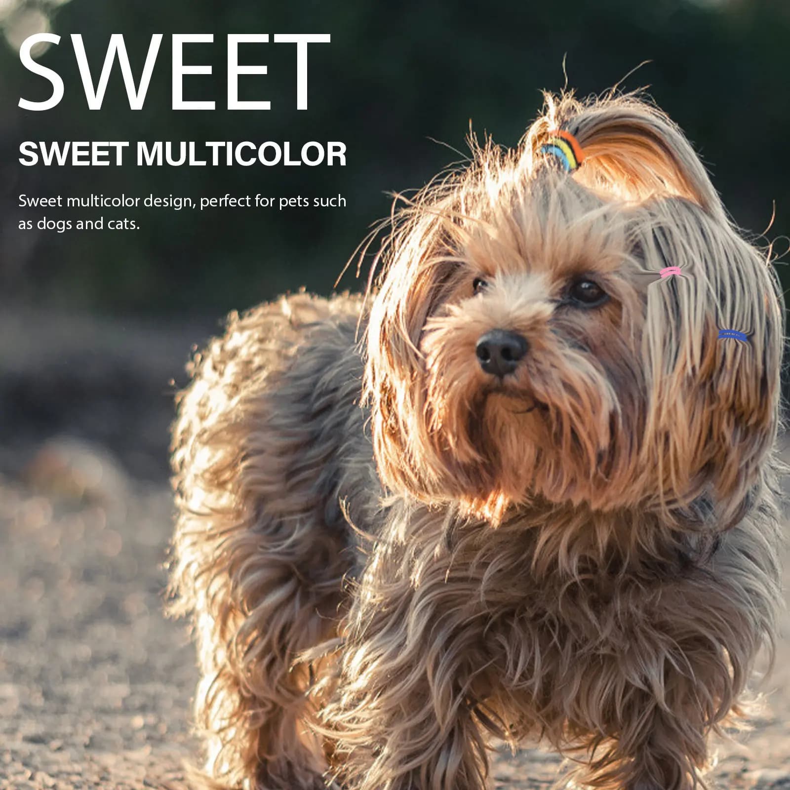 500 Pezzi Elastici Colorati per Peli di Animali Domestici, Fermacoda per Cani e Gatti, Elastici in Gomma per Toelettatura Quotidiana, Idea Regalo per Travestimenti Festivi