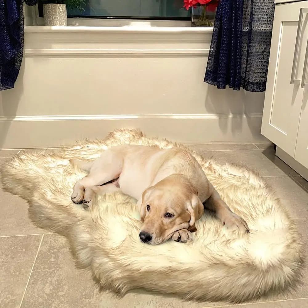 Letto per cani ortopedico di lusso in pelliccia sintetica, letto per cani in memory foam ​ per ​ Animali domestici piccoli, medi, grandi e XL, soffice tappeto per animali con impermeabile ​